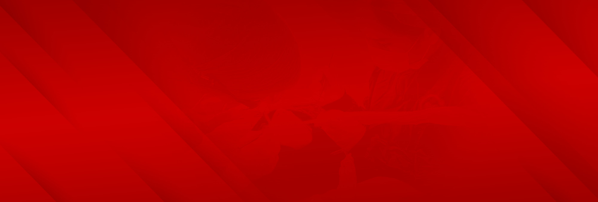 bg2